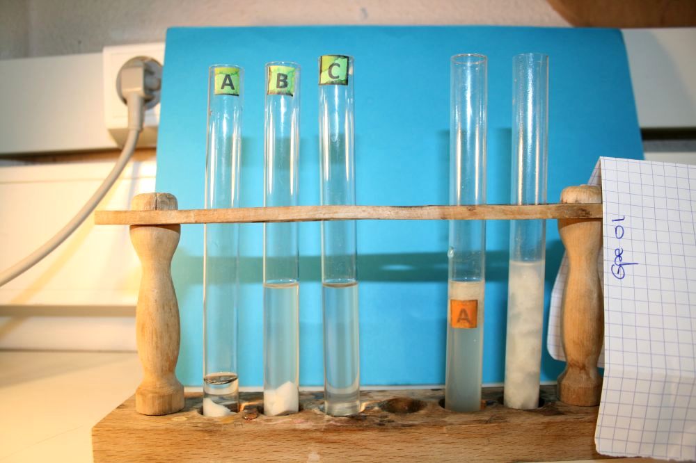 gal/LES_CINQUIEMES/ACTIVITE DIGESTION IN VITRO/Groupe_01/Groupe01_T_00h20min/Groupe01_temps00H20min_1.jpg